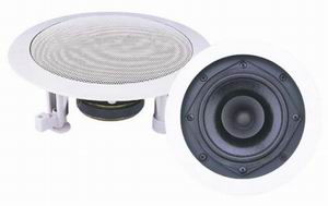 P.AUDIO - трансляционные акустические системы - CS-5FT