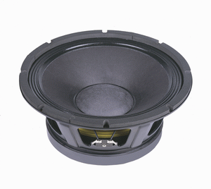  P.AUDIO - E-12LF