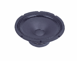 Динамики P.AUDIO - E10-100S