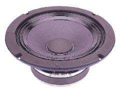  P.AUDIO - E8-100S