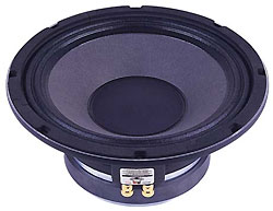 Динамики P.AUDIO - R10/64W