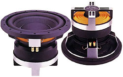 Динамики P.AUDIO - TM-12