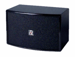 P.AUDIO - пассивные акустические системы - K-6