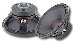 Динамики P.AUDIO - C12-300MB