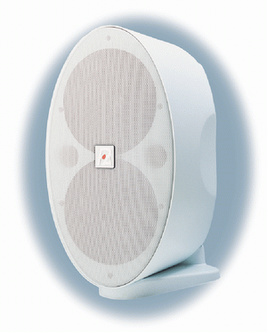P.AUDIO - активные акустические системы - X-100FWA